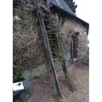 before-image